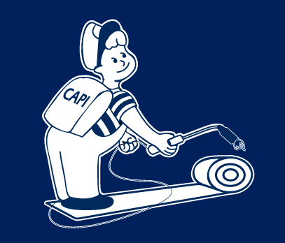 CAPI Logo